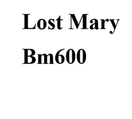 Lost Mary Pods